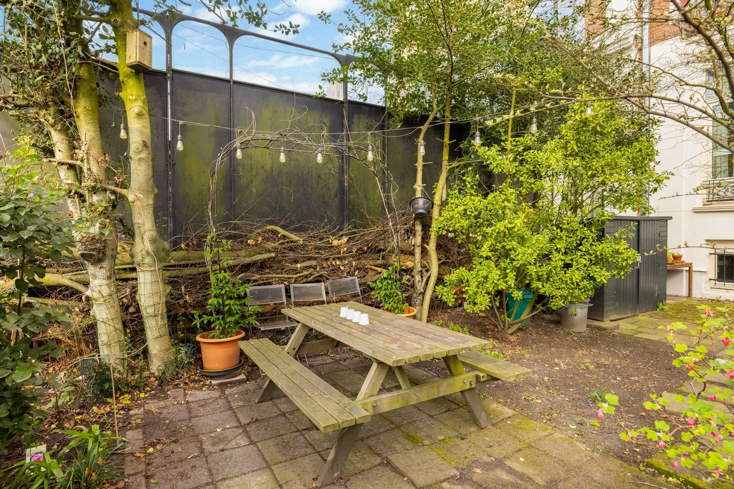 Linnaeusstraat 13 2 Amsterdam thumbnail 46