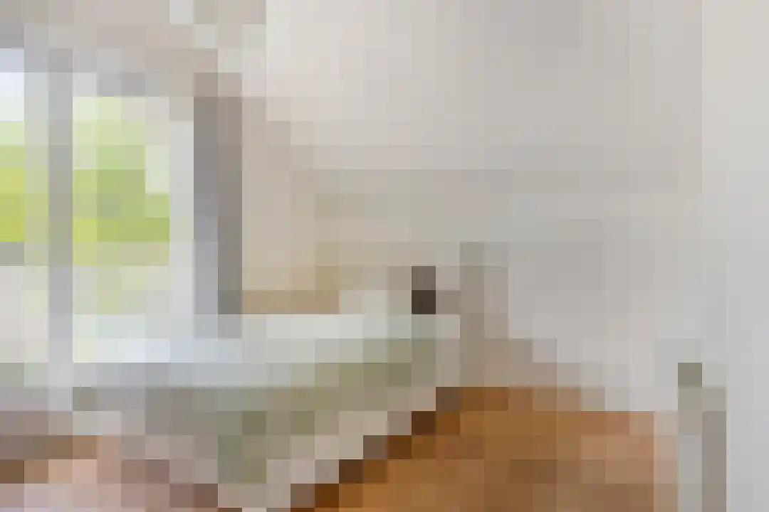 Linnaeusstraat 130 Zaandam thumbnail 18