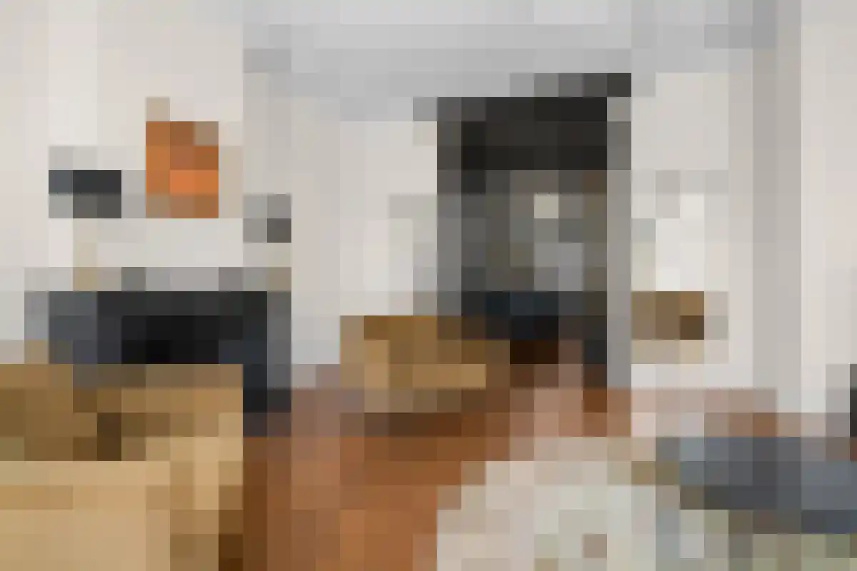 Linnaeusstraat 14 Amsterdam thumbnail 4