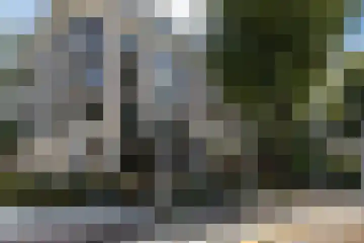 Linnaeusstraat 15 O Amsterdam thumbnail 5
