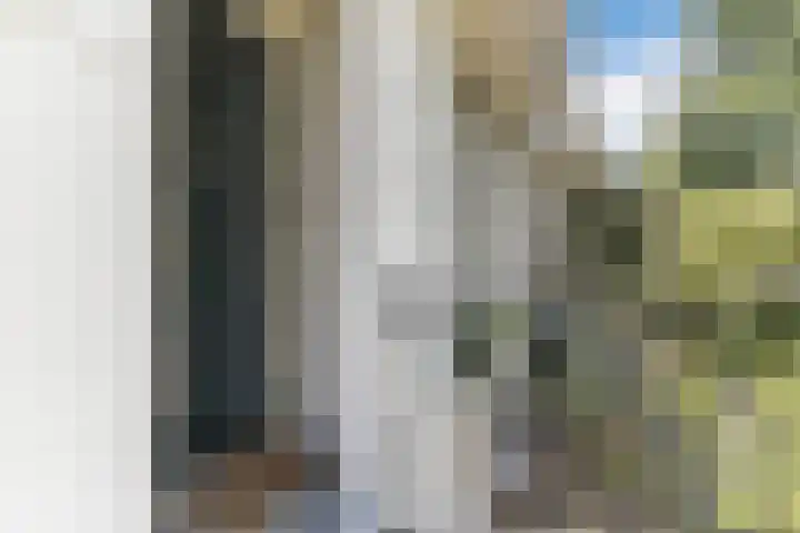Linnaeusstraat 15 O Amsterdam thumbnail 8