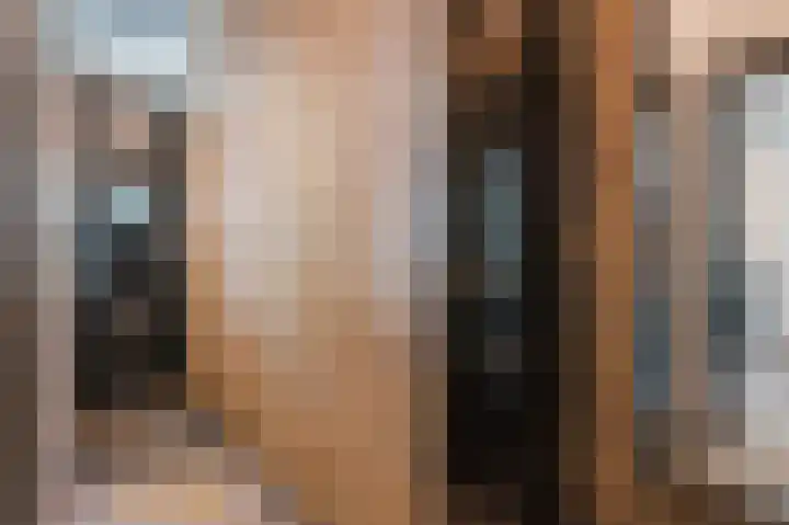 Linnaeusstraat 15 O Amsterdam thumbnail 9