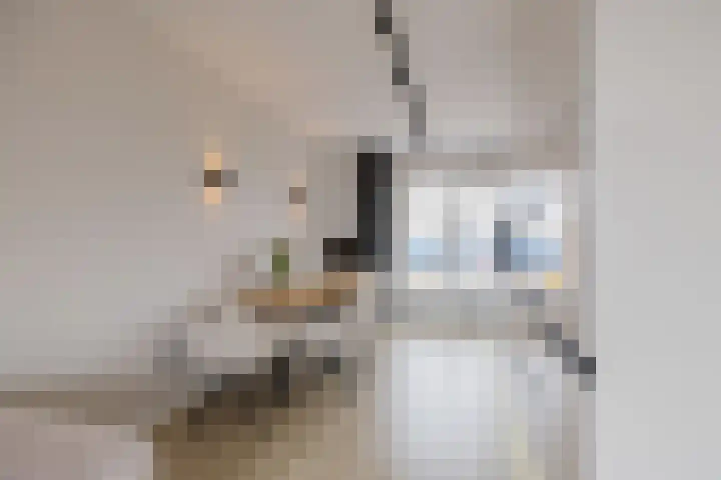 Linnaeusstraat 153 IJmuiden thumbnail 5