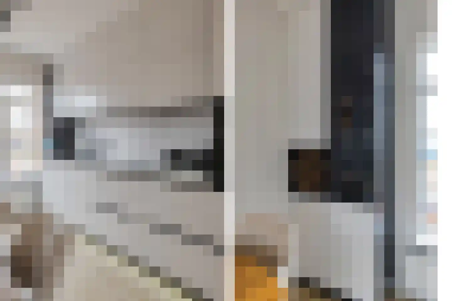 Linnaeusstraat 153 IJmuiden thumbnail 8