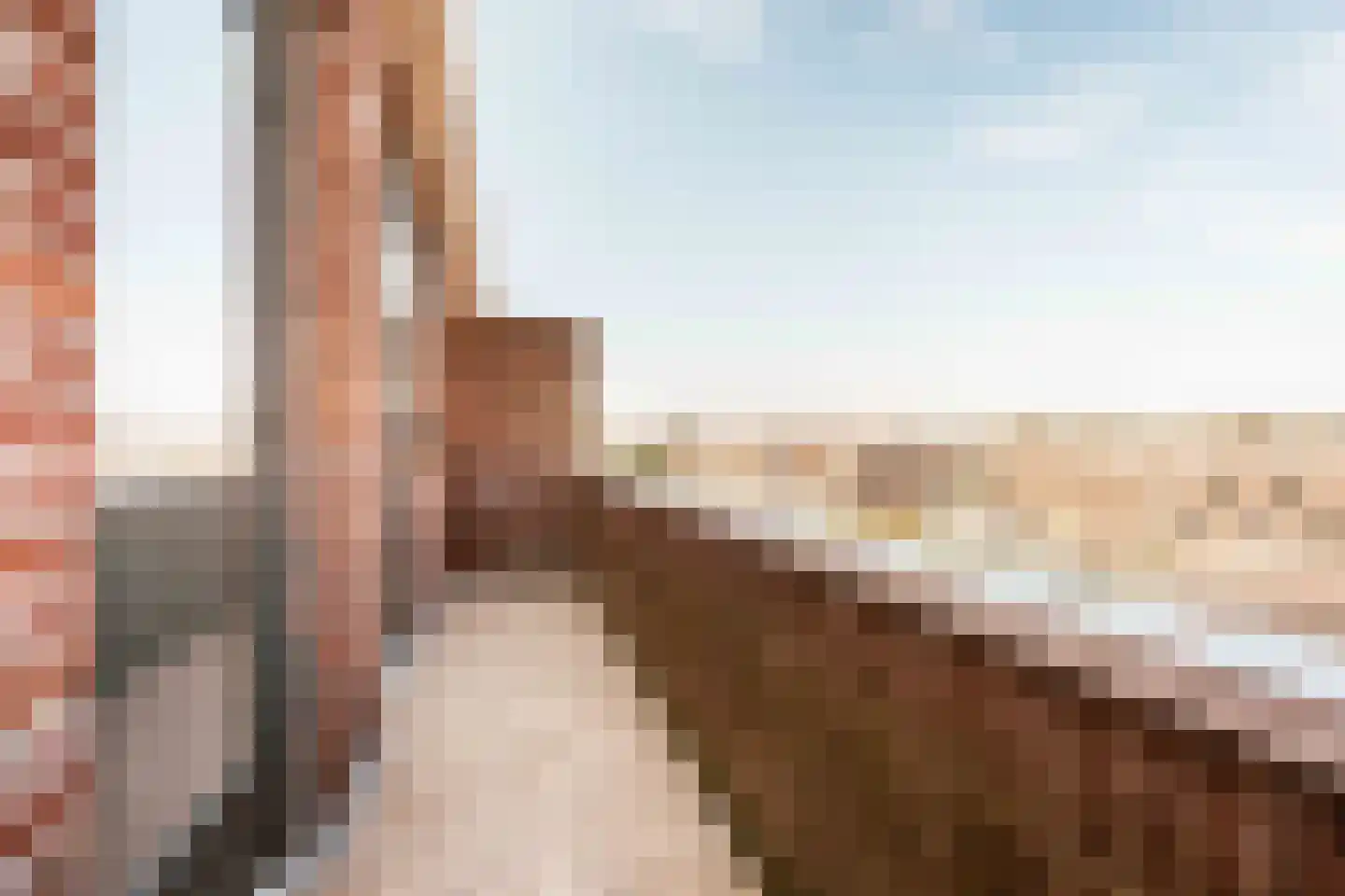 Linnaeusstraat 171 IJmuiden thumbnail 32