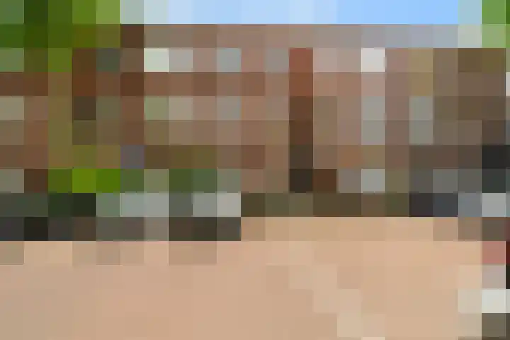 Linnaeusstraat 178 in Den Haag