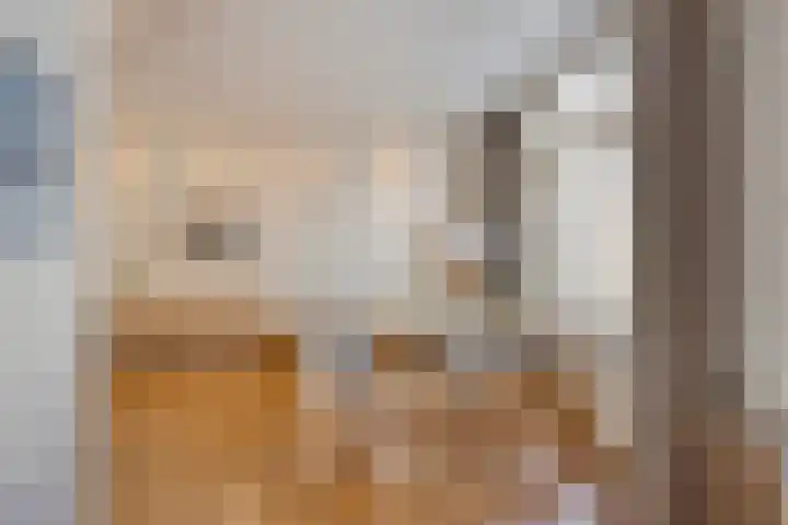 Linnaeusstraat 19 1 Amsterdam thumbnail 10