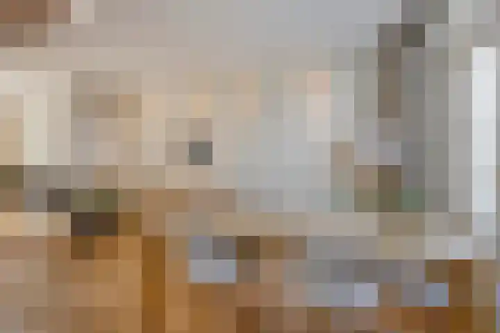 Linnaeusstraat 19 1 Amsterdam thumbnail 11