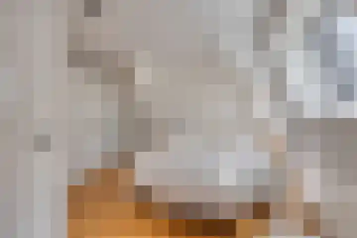 Linnaeusstraat 19 1 Amsterdam thumbnail 19