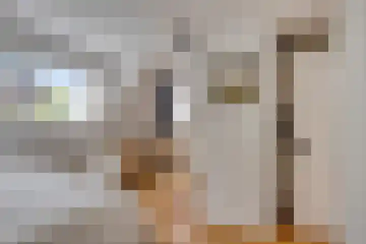 Linnaeusstraat 19 1 Amsterdam thumbnail 20