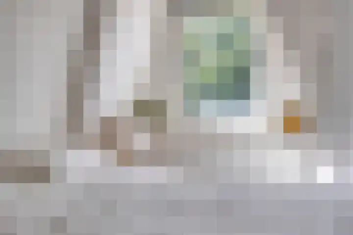 Linnaeusstraat 19 1 Amsterdam thumbnail 23