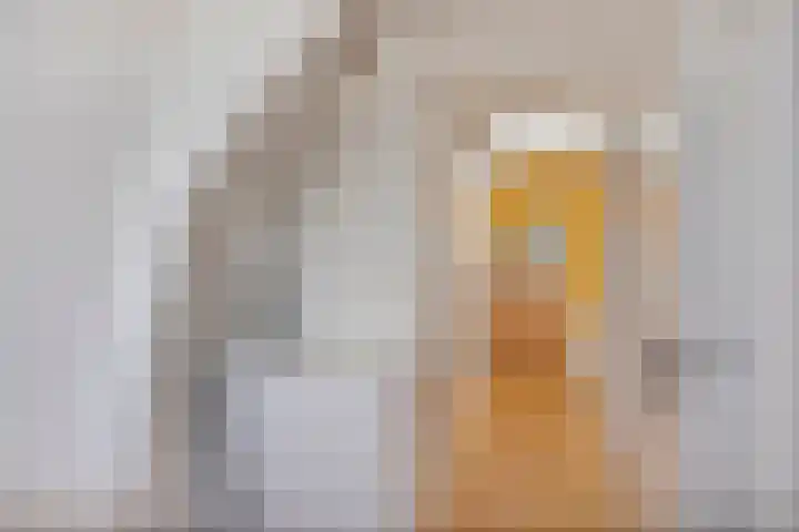 Linnaeusstraat 19 1 Amsterdam thumbnail 31
