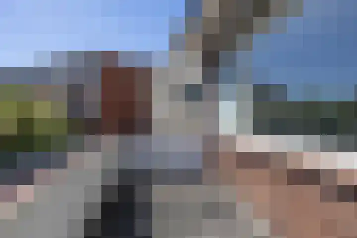 Linnaeusstraat 2 IJmuiden thumbnail 26