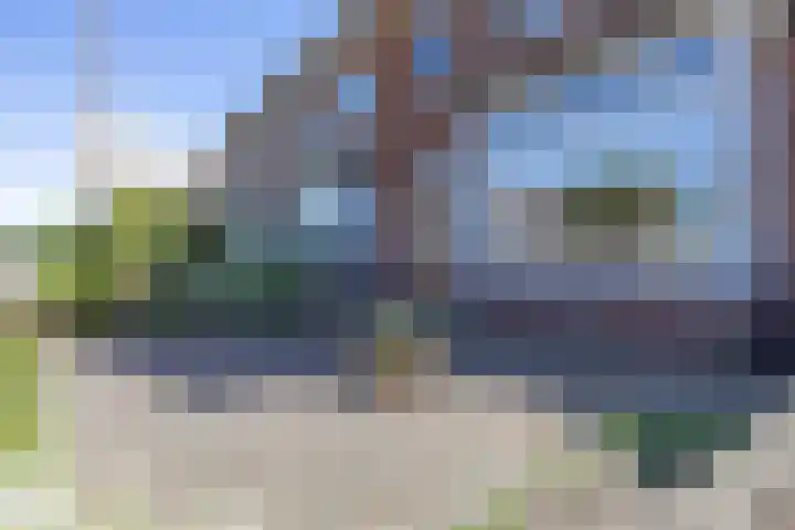 Linnaeusstraat 2 IJmuiden thumbnail 4