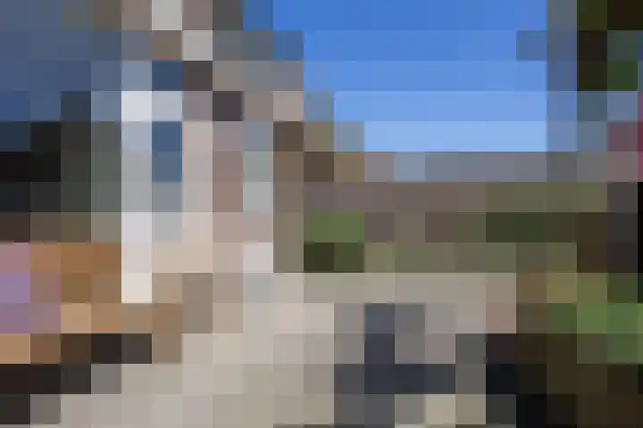 Linnaeusstraat 2 IJmuiden thumbnail 47