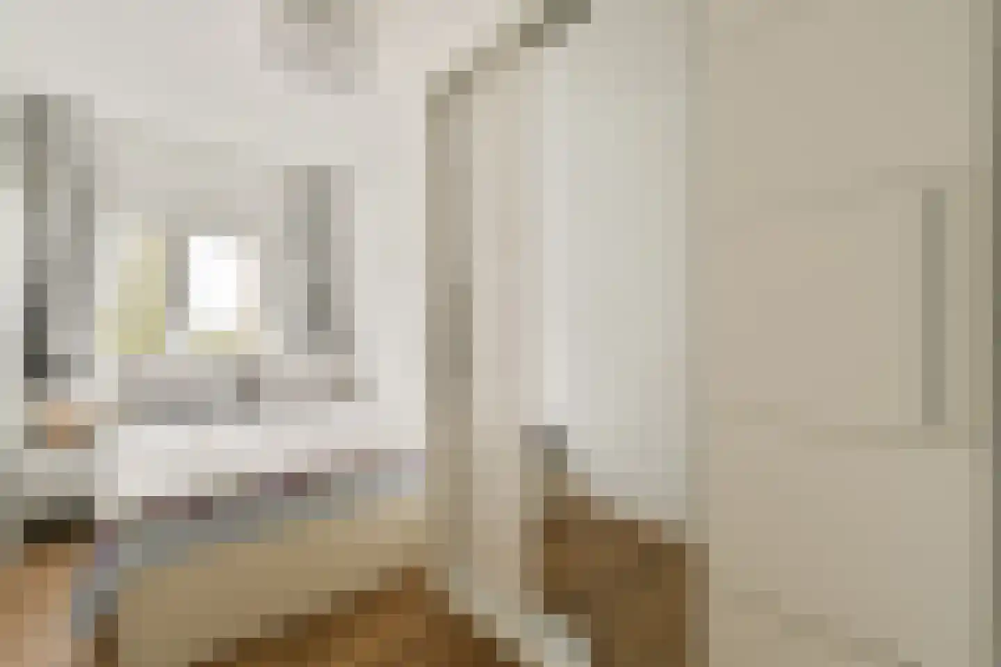 Linnaeusstraat 204 Zaandam thumbnail 11