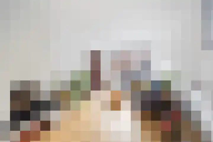 Linnaeusstraat 209 Den Haag thumbnail 5