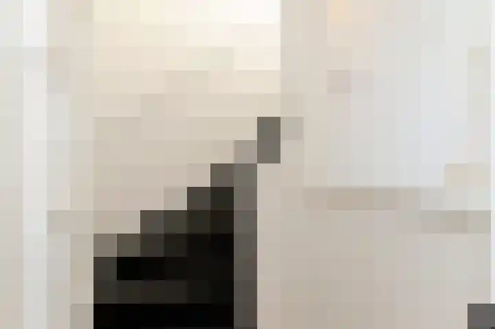 Linnaeusstraat 213 Den Haag thumbnail 6