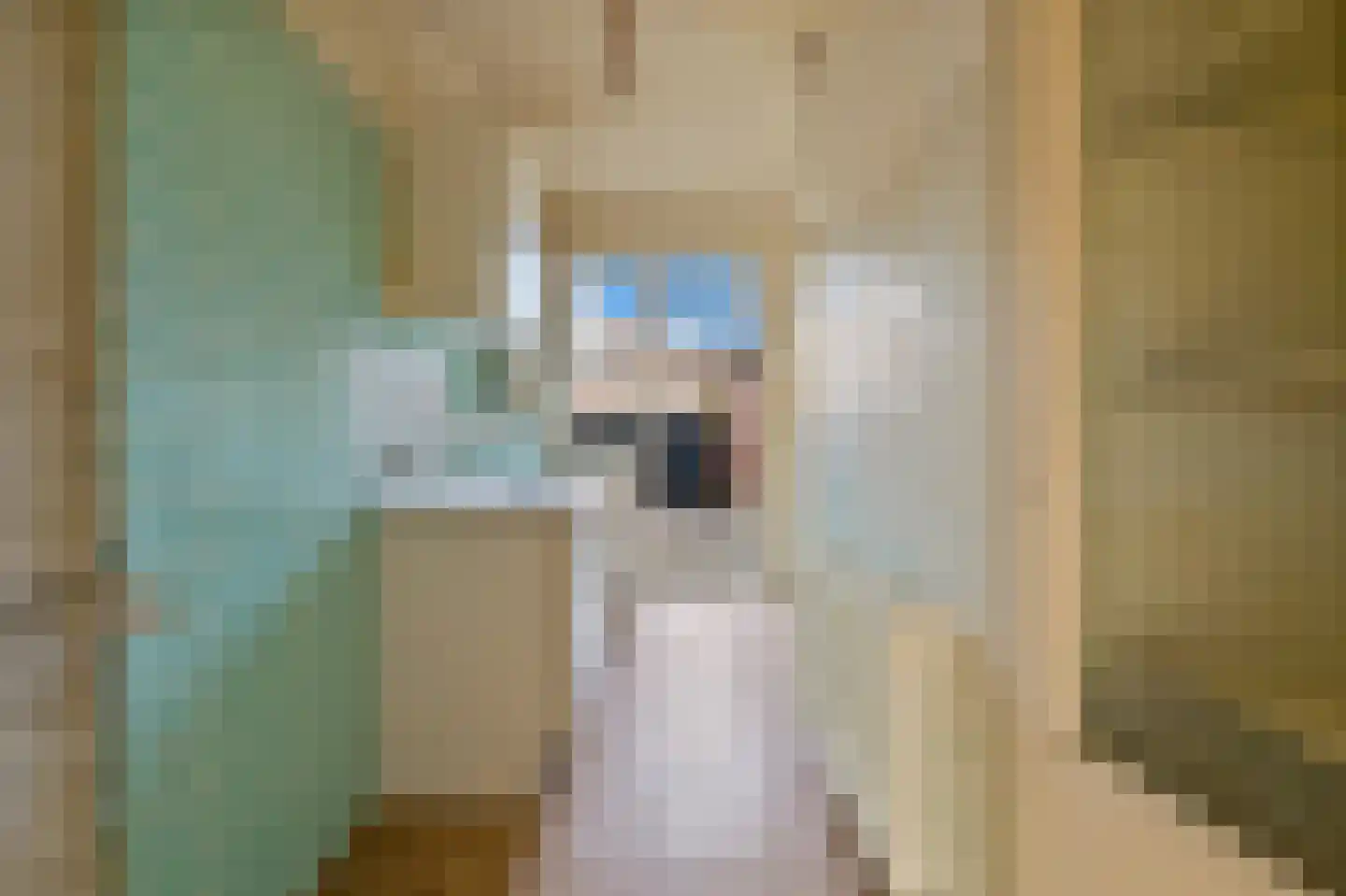 Linnaeusstraat 231 Den Haag thumbnail 17
