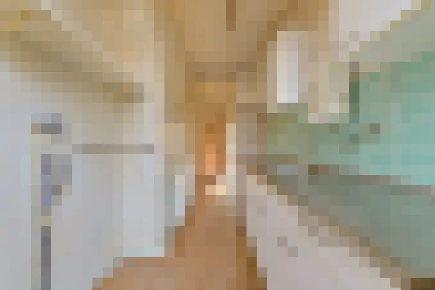 Linnaeusstraat 231 Den Haag thumbnail 18