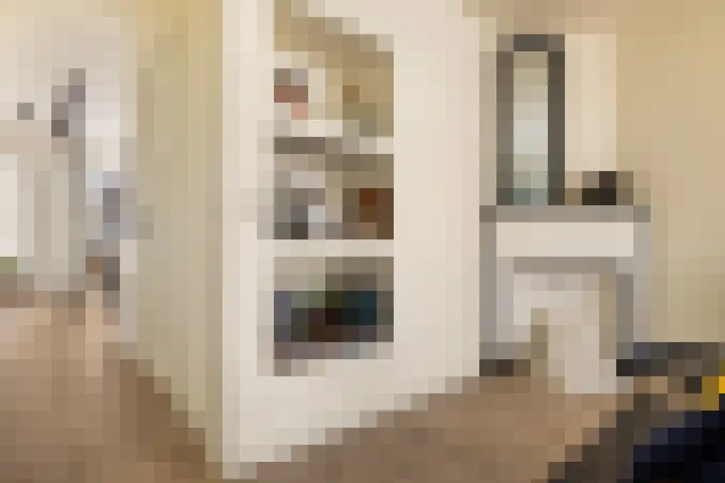 Linnaeusstraat 251 2 Amsterdam thumbnail 12