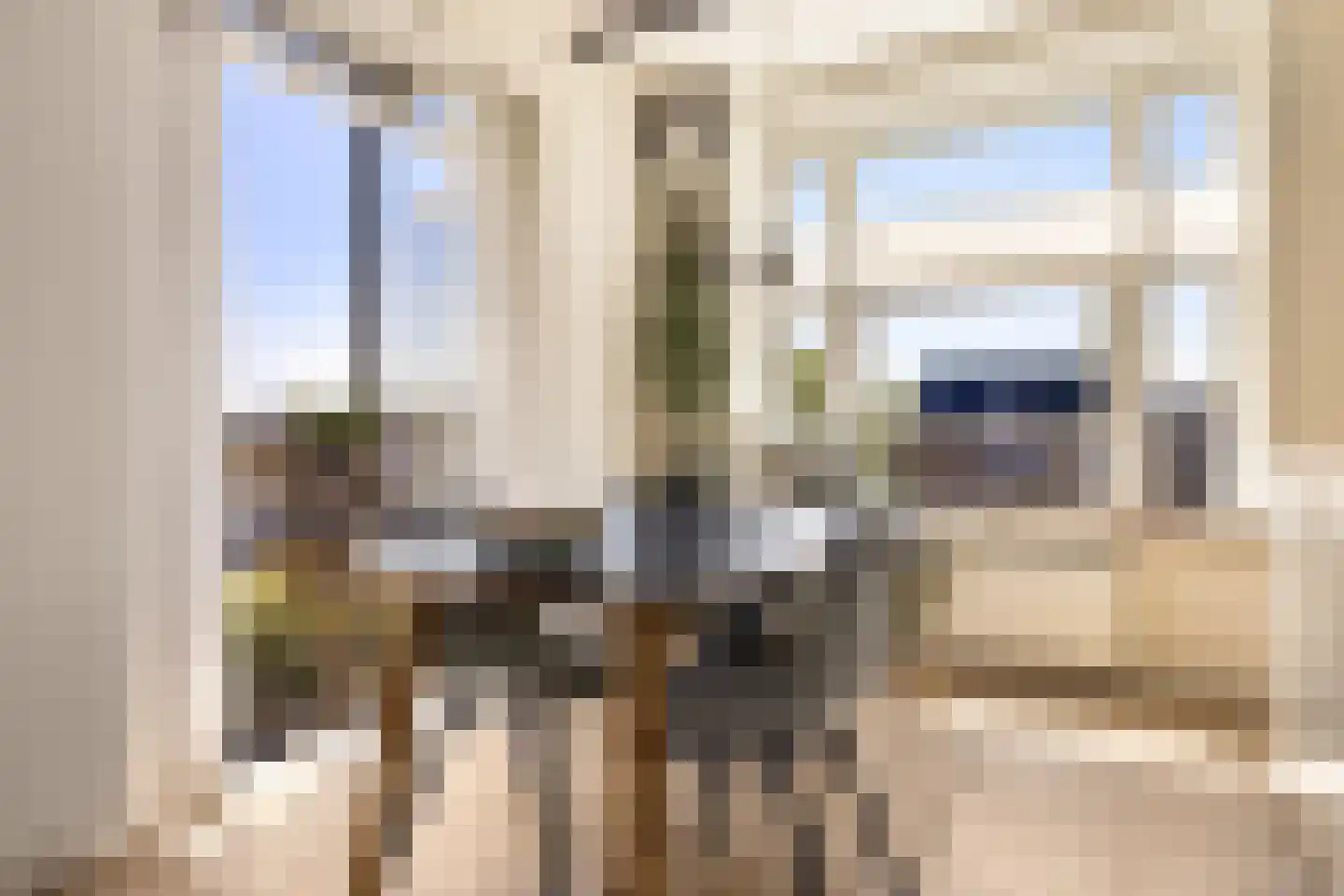 Linnaeusstraat 251 2 Amsterdam thumbnail 15