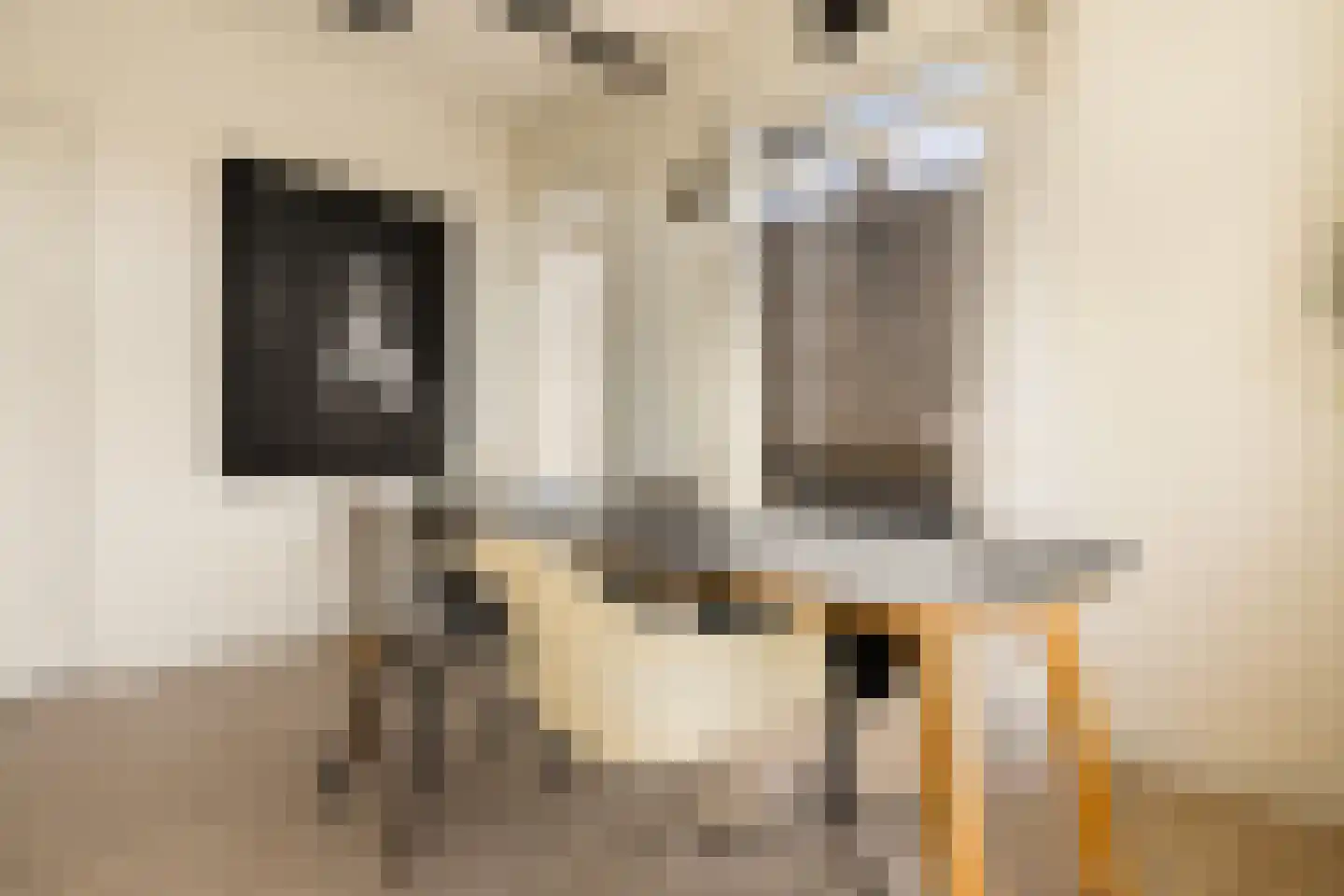 Linnaeusstraat 251 2 Amsterdam thumbnail 19