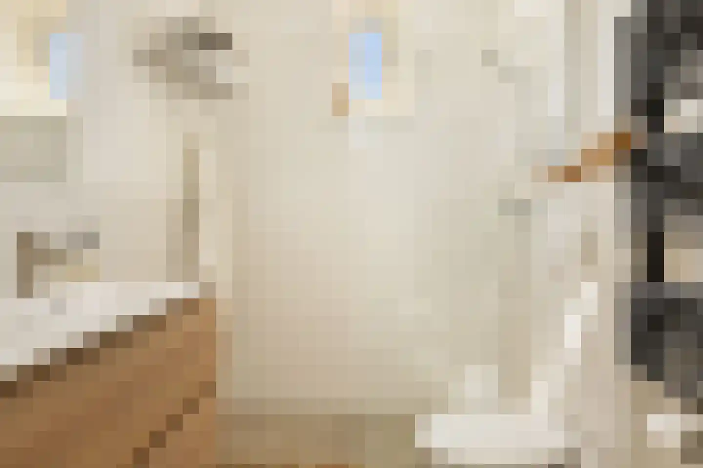 Linnaeusstraat 251 2 Amsterdam thumbnail 30
