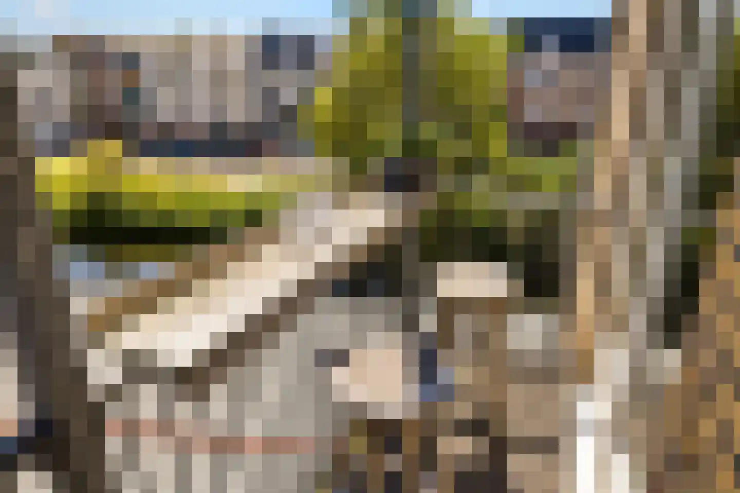 Linnaeusstraat 251 3 Amsterdam thumbnail 27