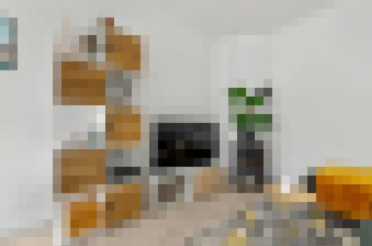 Linnaeusstraat 26 BS Utrecht thumbnail 7