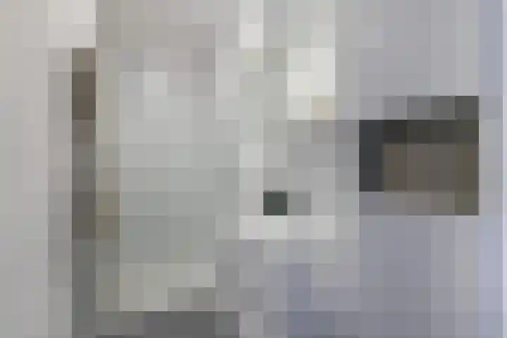 Linnaeusstraat 26 Utrecht thumbnail 13