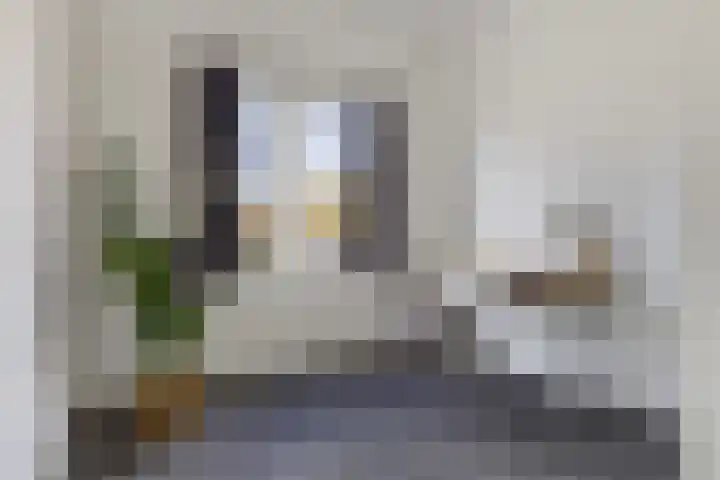 Linnaeusstraat 26 Utrecht thumbnail 16