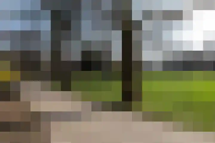 Linnaeusstraat 26 Utrecht thumbnail 26