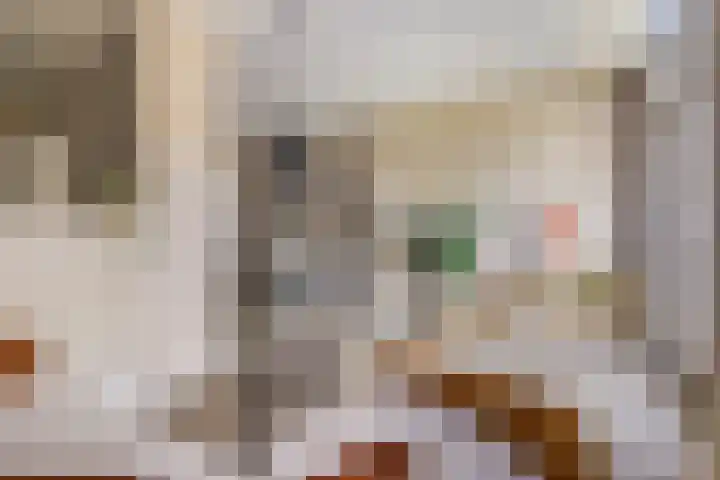 Linnaeusstraat 26 Utrecht thumbnail 4