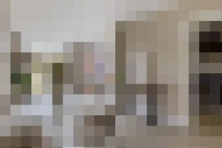 Linnaeusstraat 26 Utrecht thumbnail 6