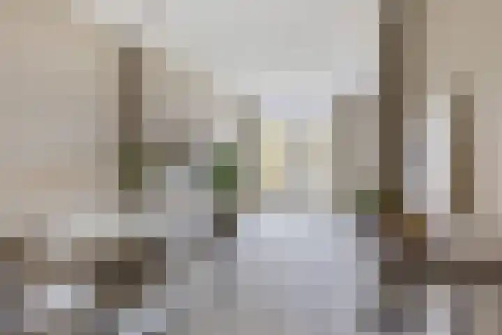 Linnaeusstraat 26 Utrecht thumbnail 7