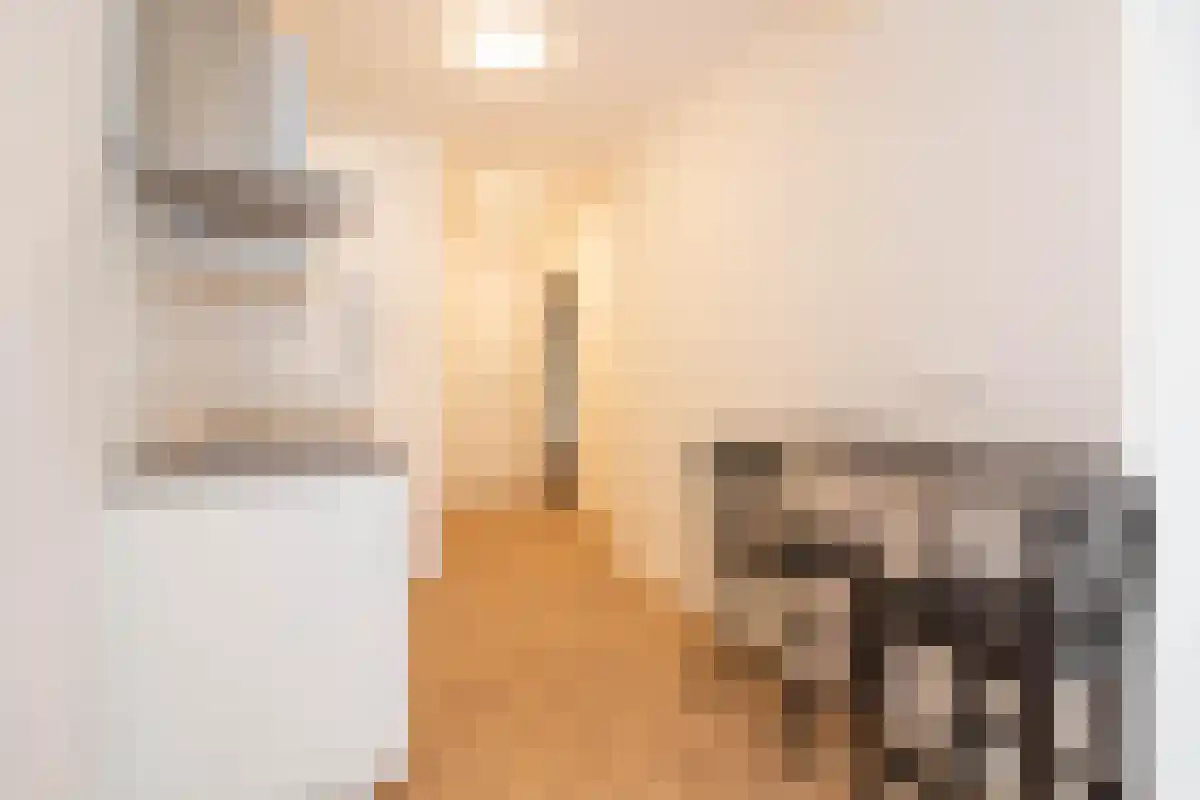 Linnaeusstraat 266 Den Haag thumbnail 6