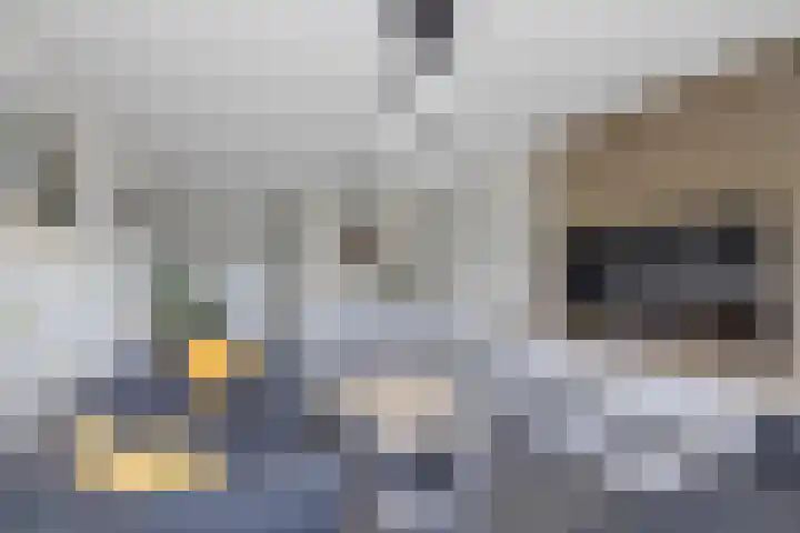 Linnaeusstraat 3 in Den Haag