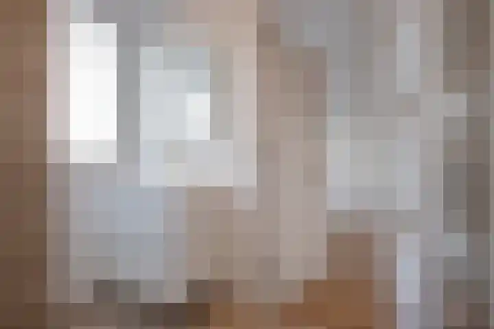 Linnaeusstraat 3 Den Haag thumbnail 18