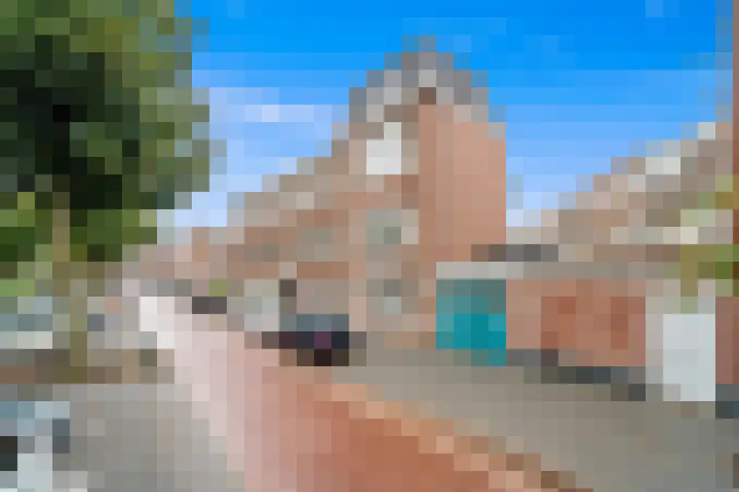 Linnaeusstraat 3 Den Haag thumbnail 4