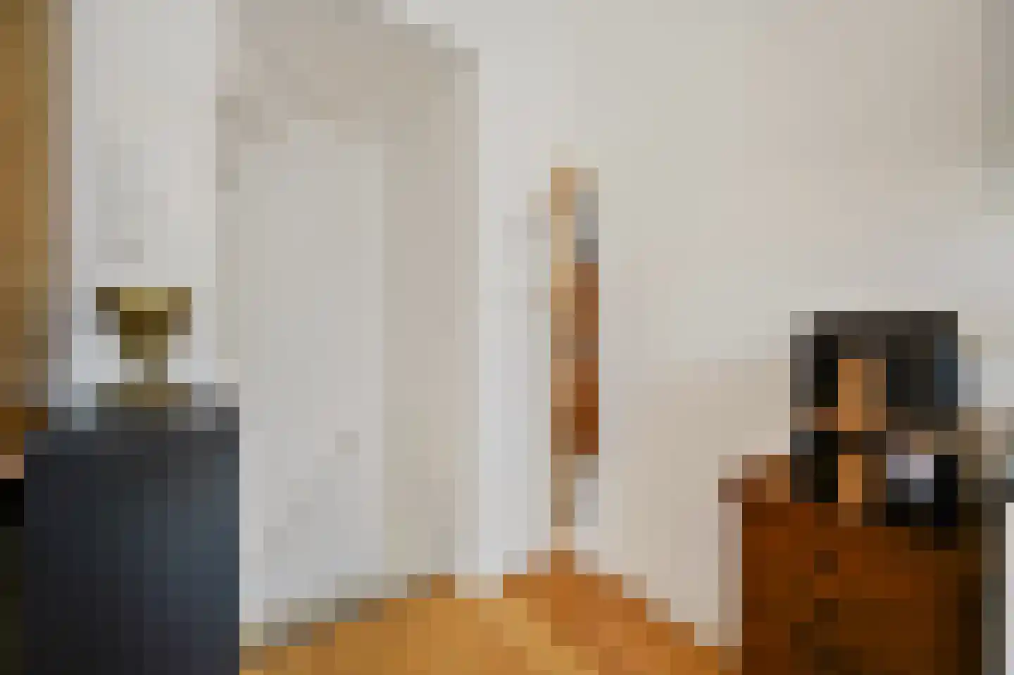 Linnaeusstraat 3 Den Haag thumbnail 5