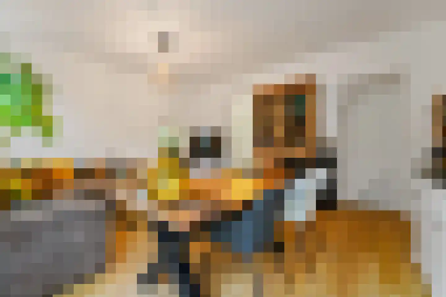 Linnaeusstraat 3 Den Haag thumbnail 9