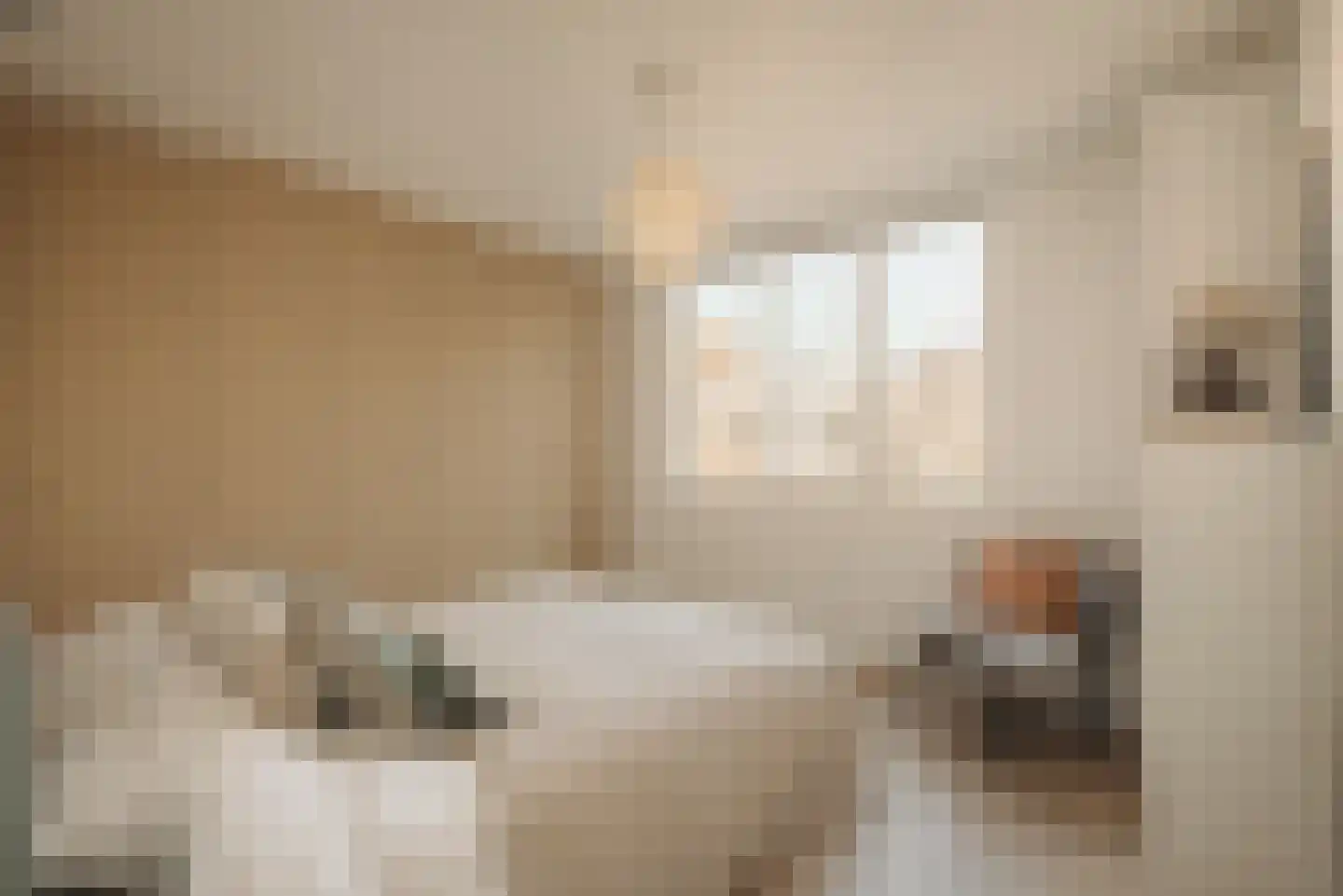 Linnaeusstraat 31 D Amsterdam thumbnail 19