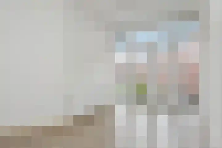 Linnaeusstraat 37 Den Haag thumbnail 5