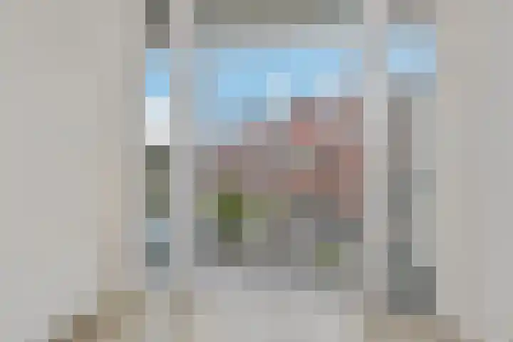 Linnaeusstraat 37 Den Haag thumbnail 7