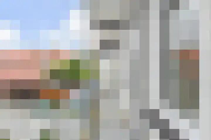 Linnaeusstraat 37 Den Haag thumbnail 8
