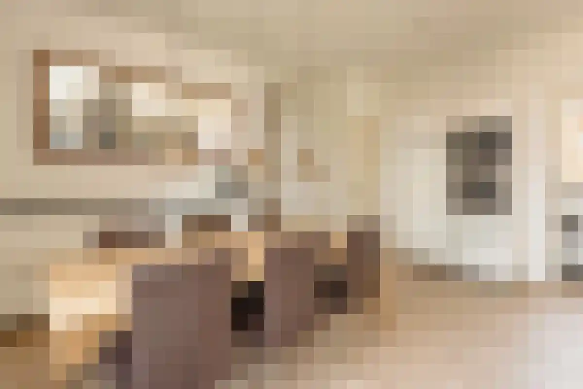 Linnaeusstraat 38 Amsterdam thumbnail 4