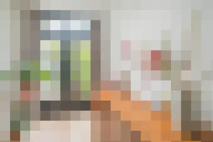 Linnaeusstraat 38 Utrecht thumbnail 12