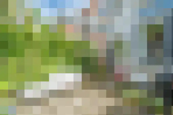Linnaeusstraat 38 Utrecht thumbnail 22