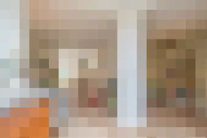 Linnaeusstraat 38 Utrecht thumbnail 25
